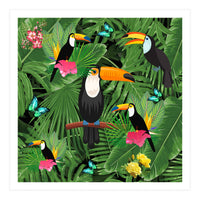 Toucan (Print Only)