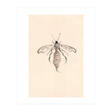 Wasp (Print Only) thumbnail