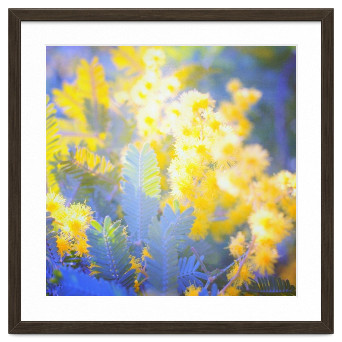 Yellow shiny flowers