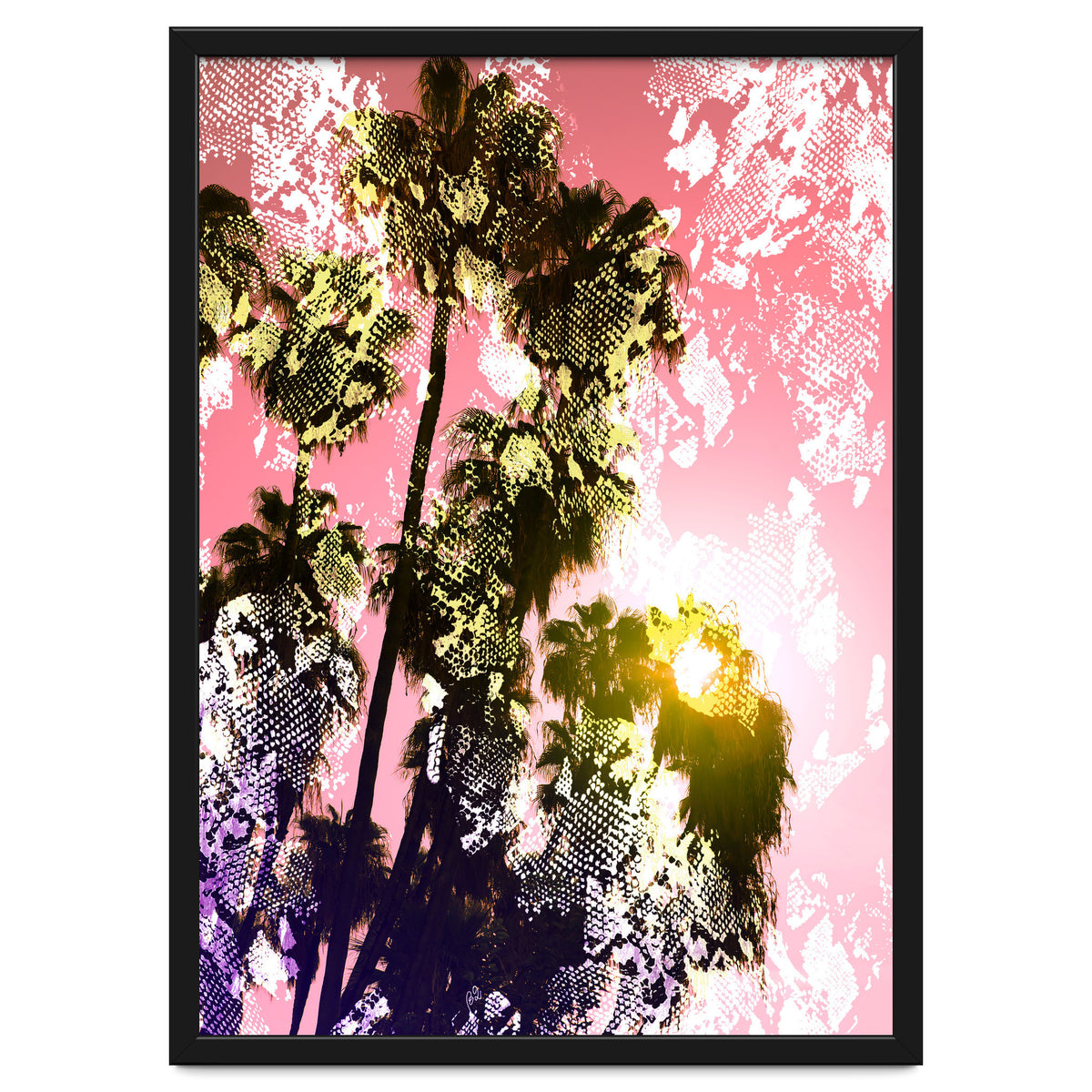 Snake sunset in paradise