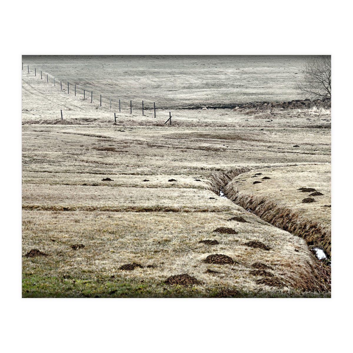 Wet meadows (Print Only)