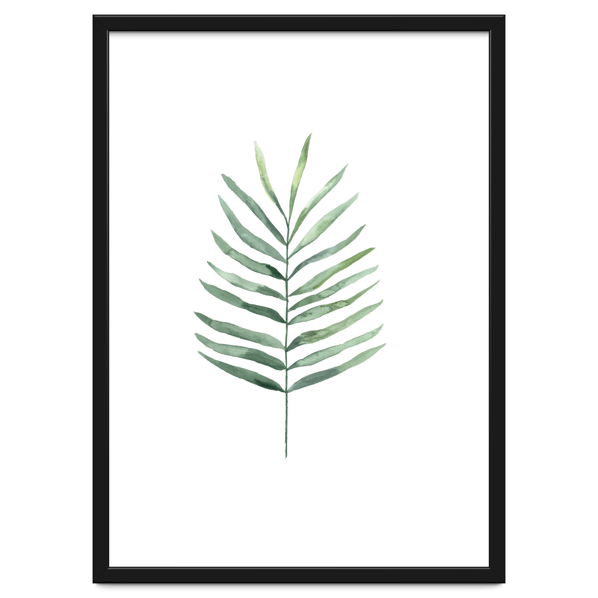 Botanical Illustration Fern