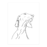 Smell  (Print Only) thumbnail