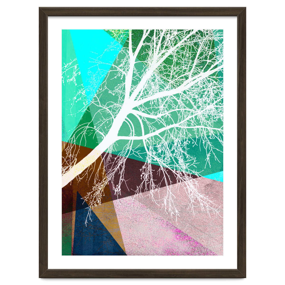 P16-H Trees And Triangles