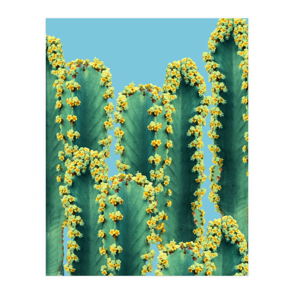 Adorned Cactus V2 (Print Only)