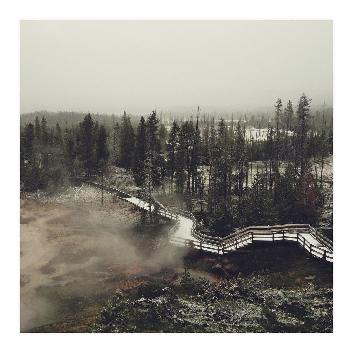 Artists Paint Pots (Print Only)