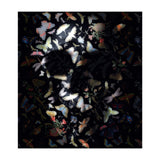 Butterfly Skull (Print Only) thumbnail