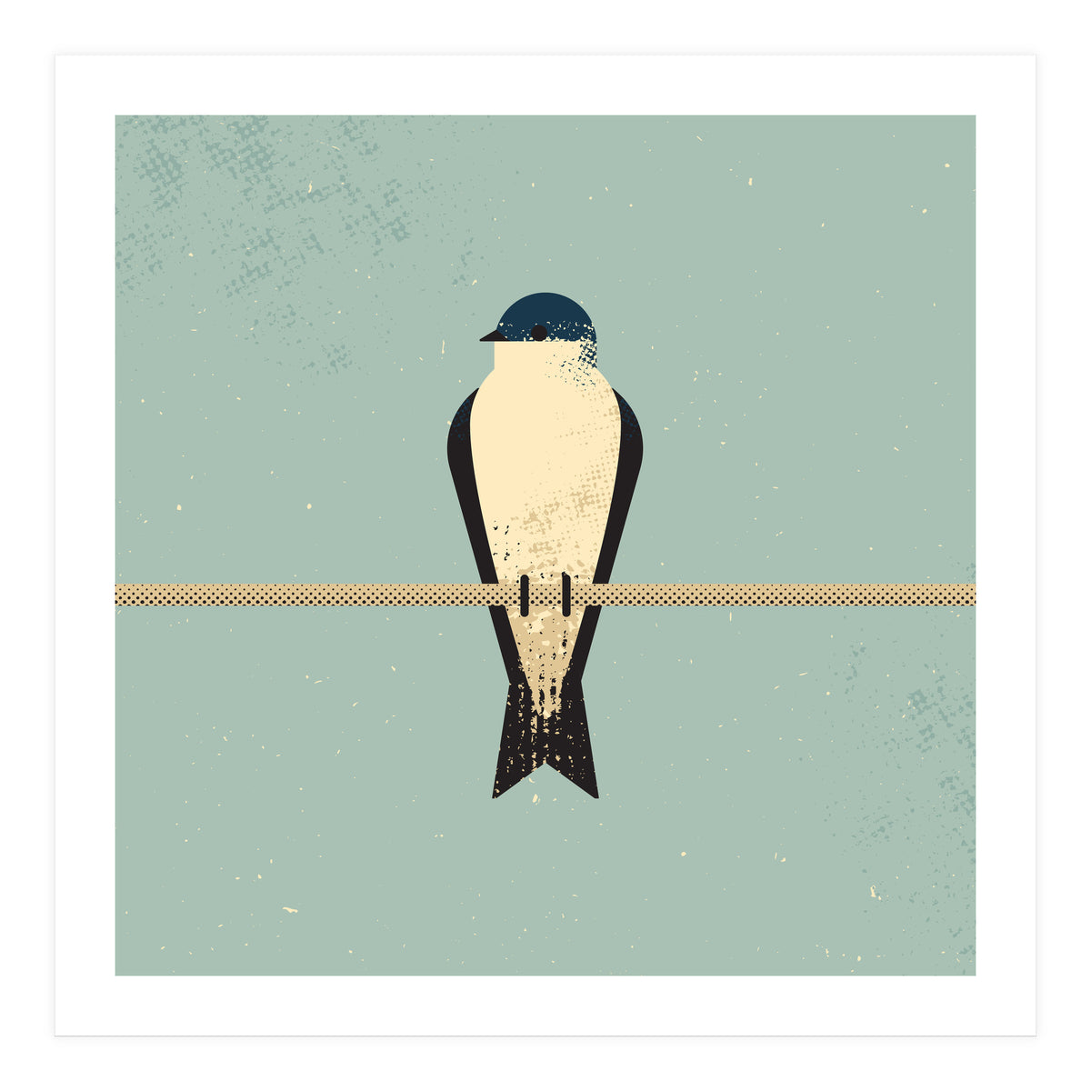 Swallow (Print Only)