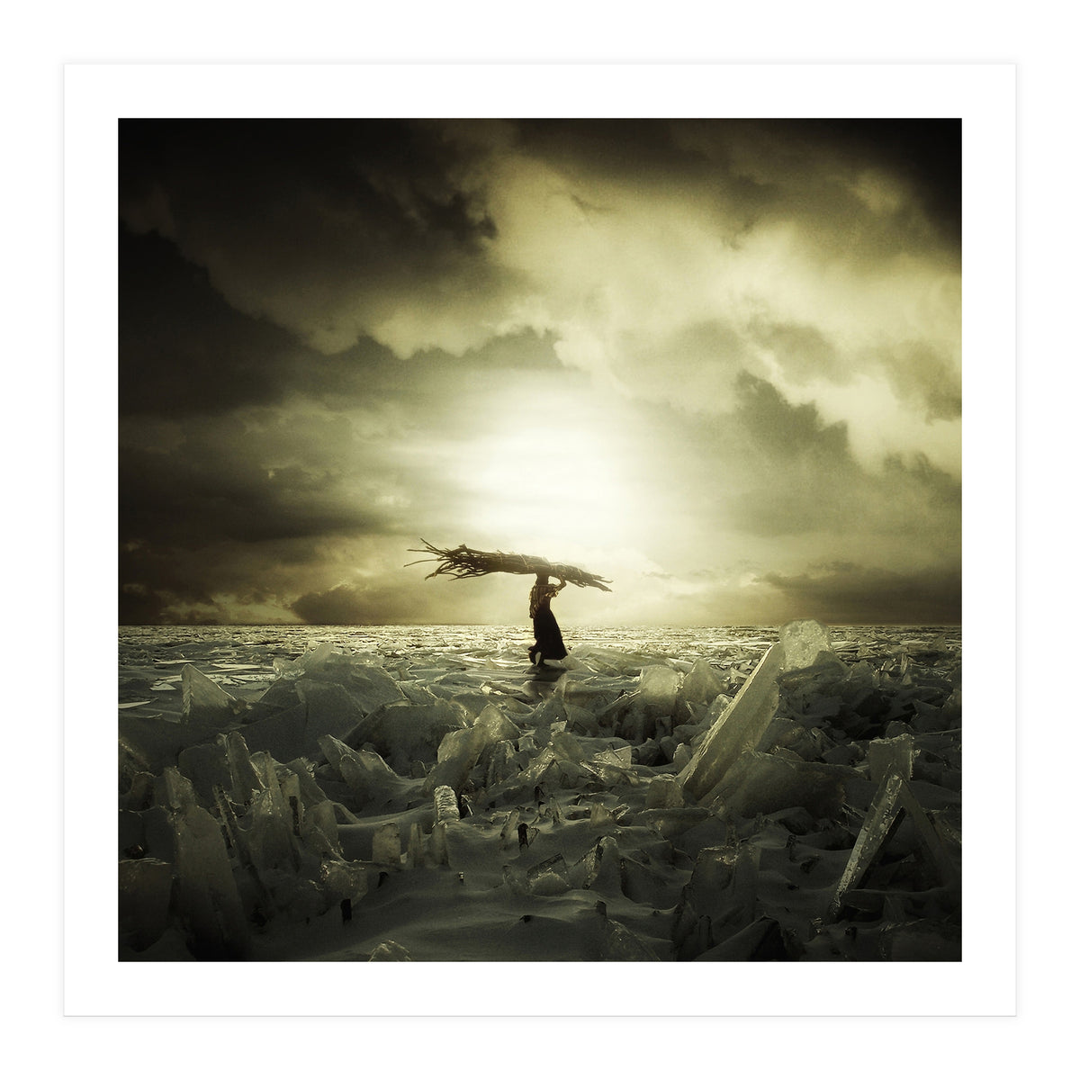 Frozen Nation (Print Only)