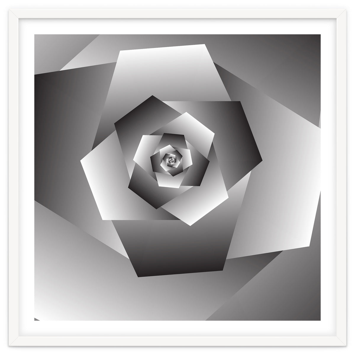 Monochrome Rose Spiral