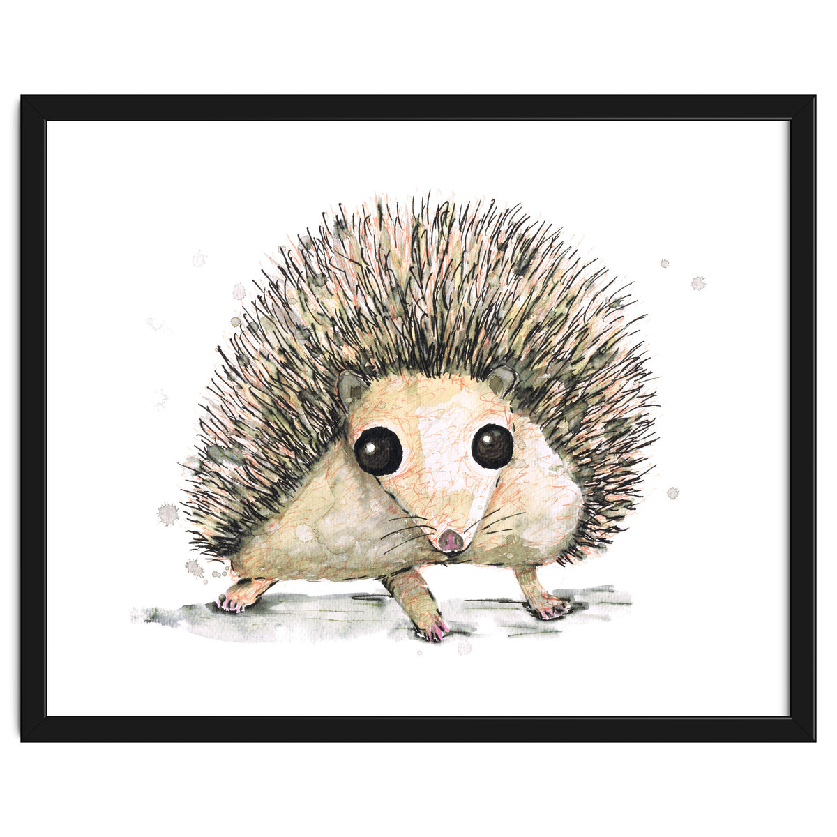 Hedgehog