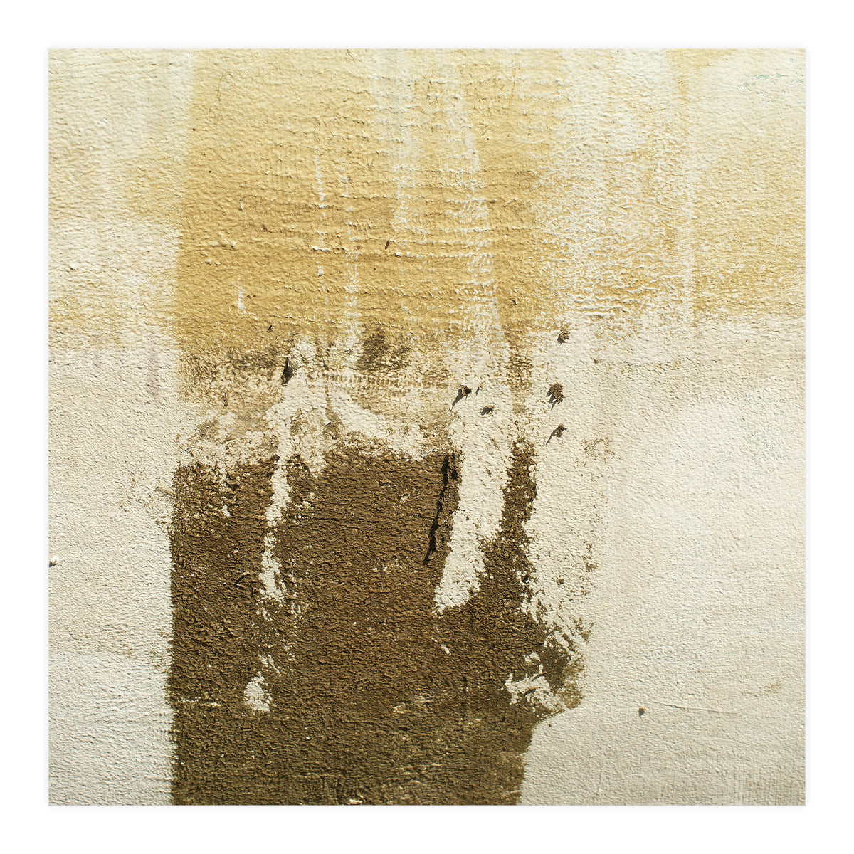 Harmony (Print Only)