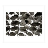 Branches and Leaves I (Print Only) thumbnail