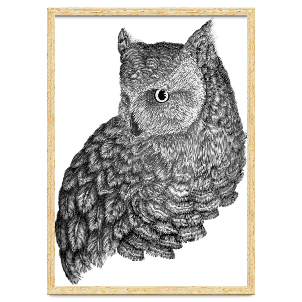 A Friend For Forsythe