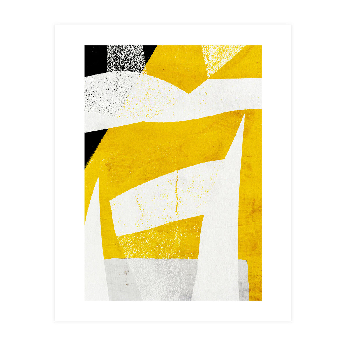 Coiote 3 (Print Only)