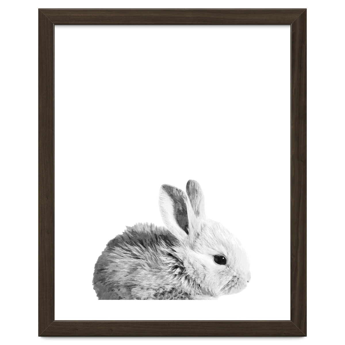 Black and White Bunny Portrait
