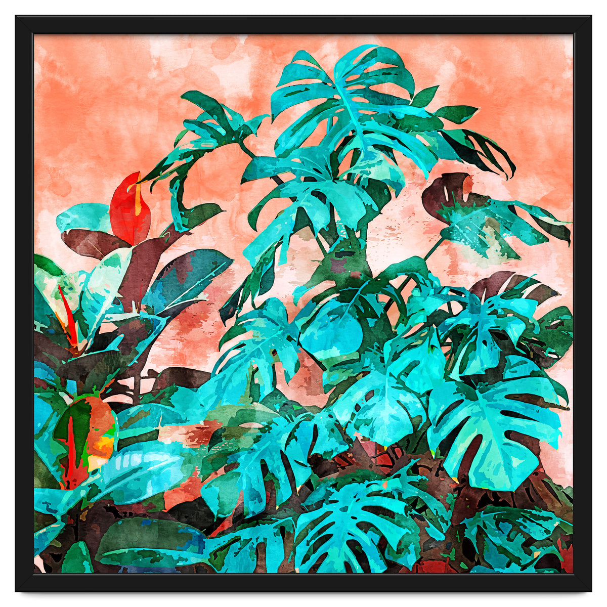 Monstera In My Backyard