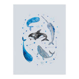 Whales (Print Only) thumbnail