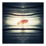 Glow (Print Only) thumbnail