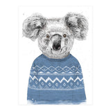 Winter Koala (Print Only) thumbnail