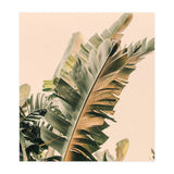 Growing Green Alicia Bock (Print Only) thumbnail