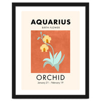 Aquarius Birth Flower Orchid