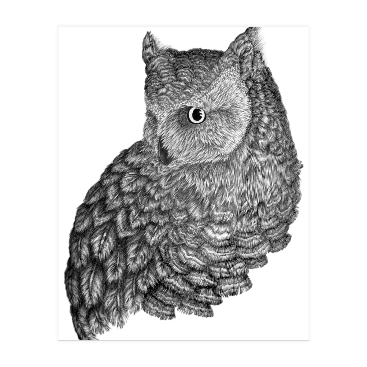 A Friend For Forsythe (Print Only)