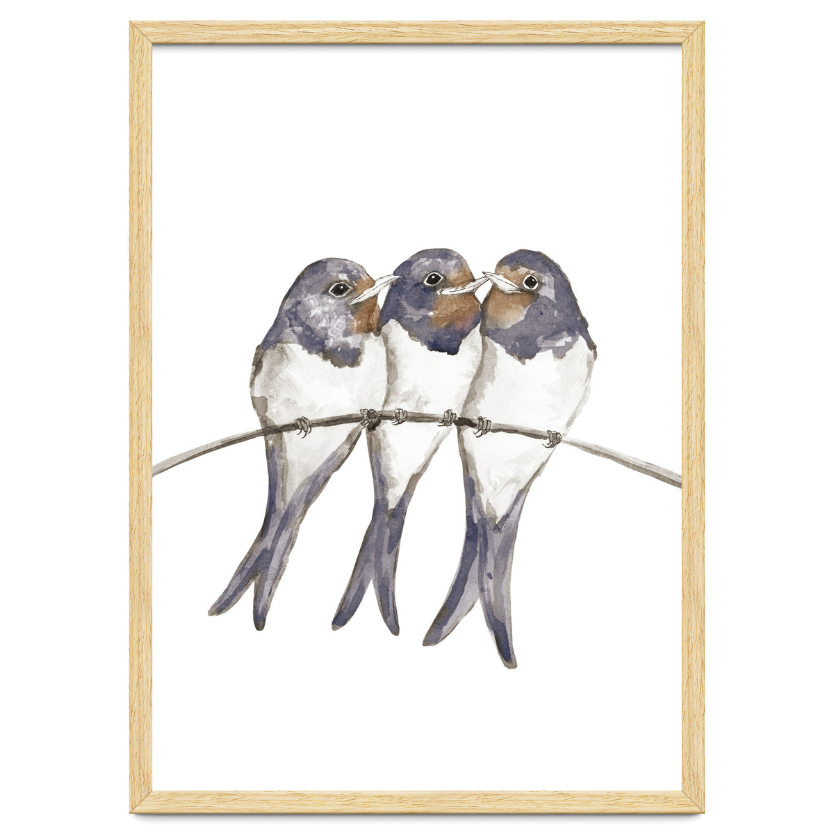 Three young swallows