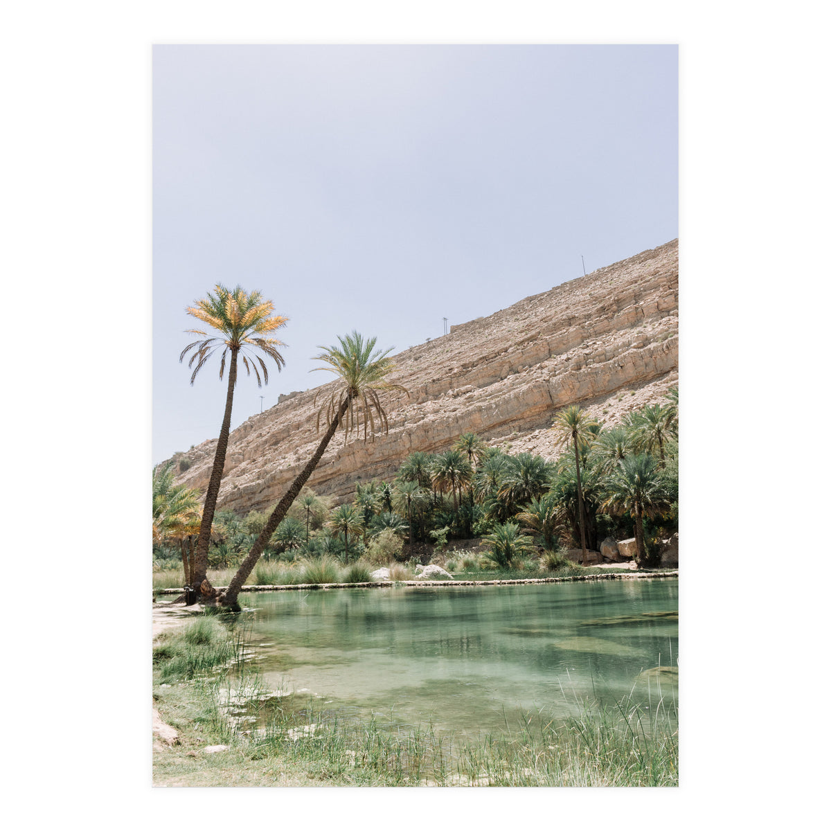 Tropical Oasis Portrait (Print Only)