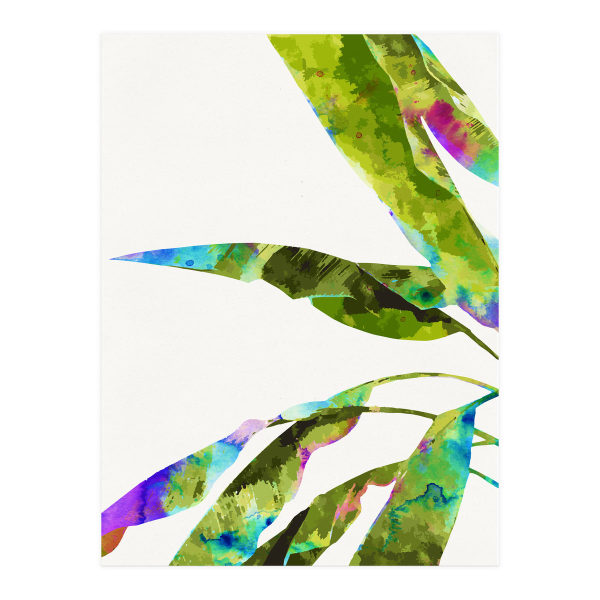 Banana Leaves Holi (Print Only)