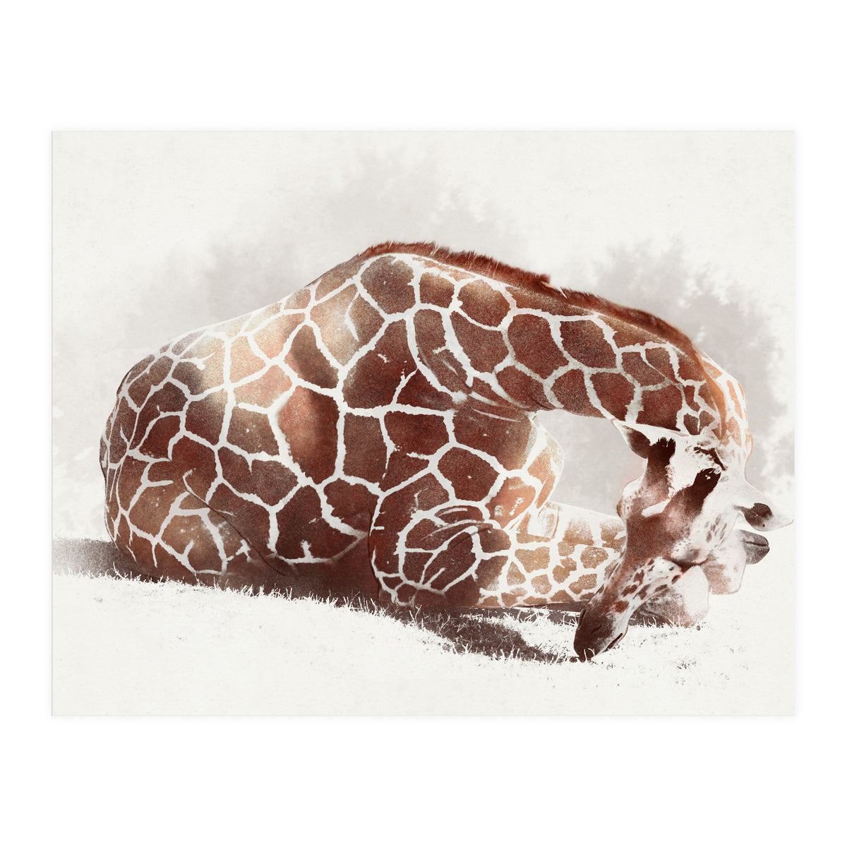 Giraffe (Print Only)