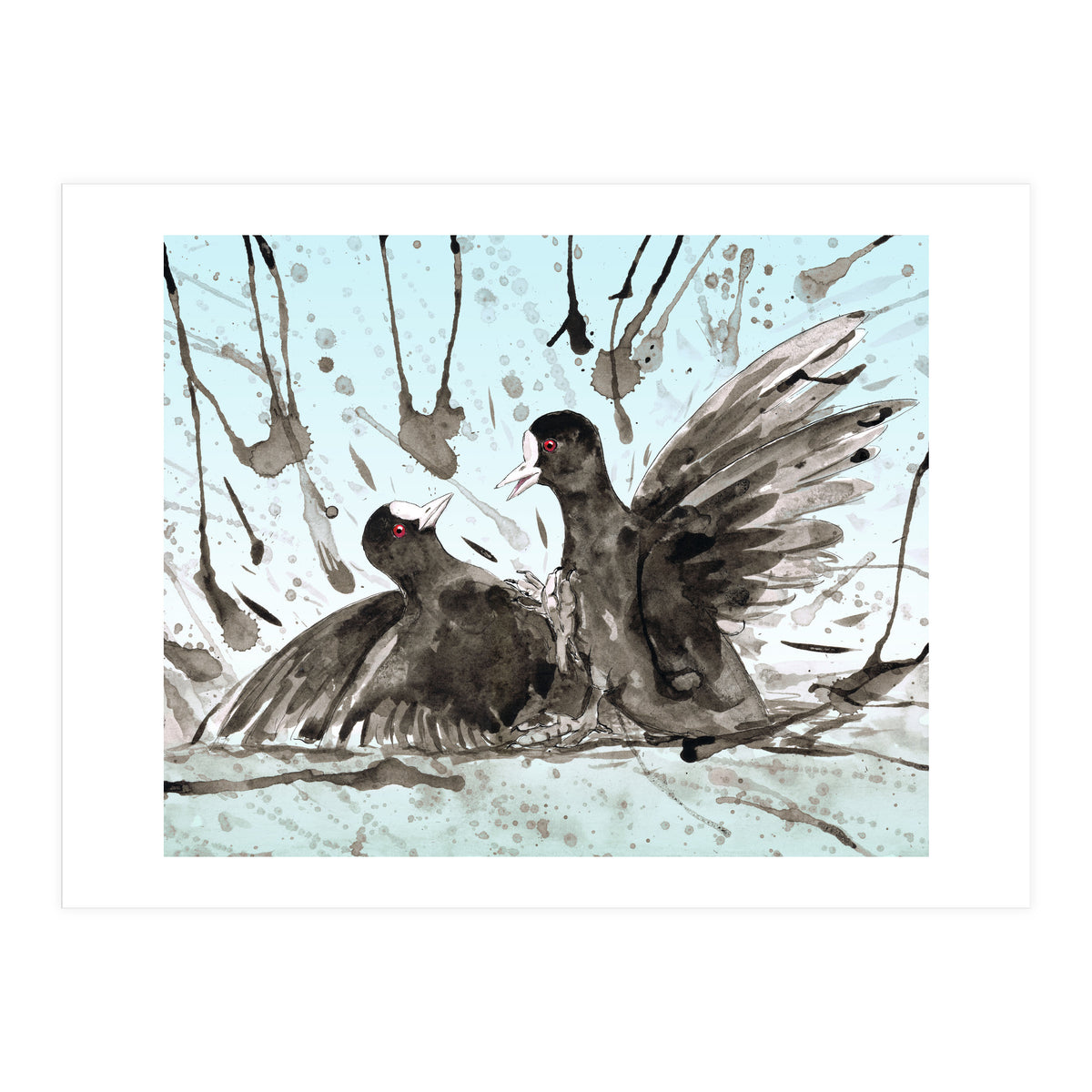 Fighting coots (Print Only)