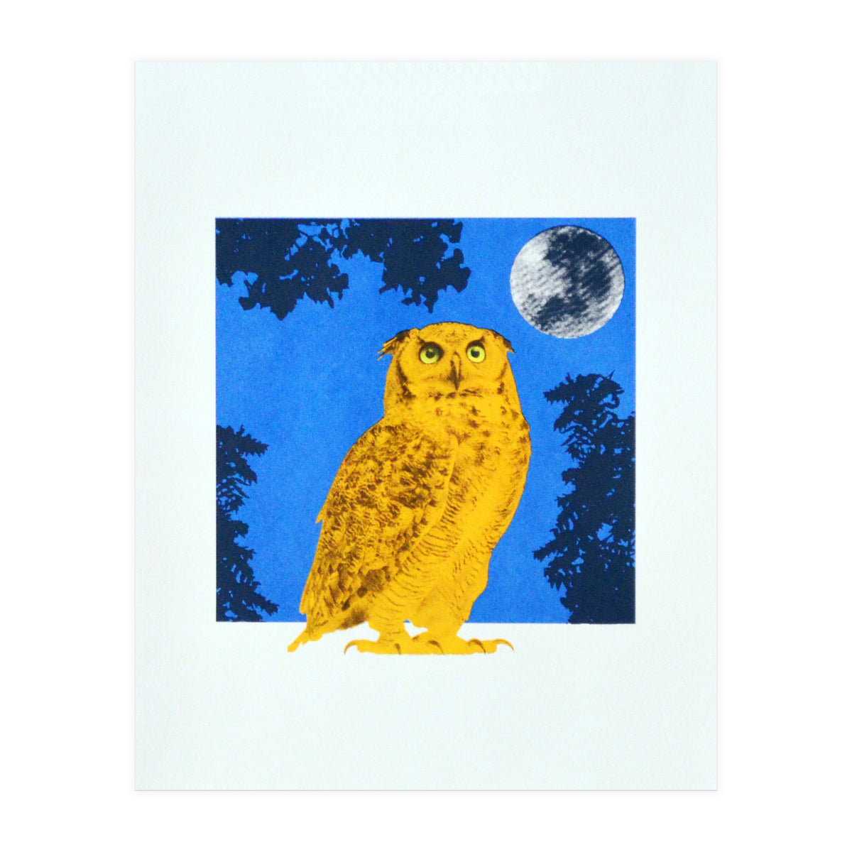 Golden Eyes (Print Only)