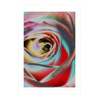 Rose (Print Only)
