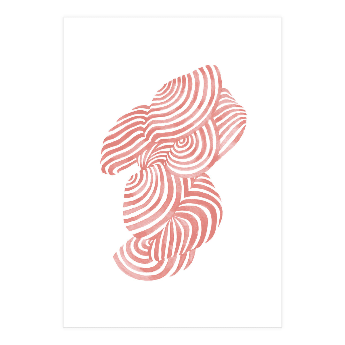 Seashells (Print Only)