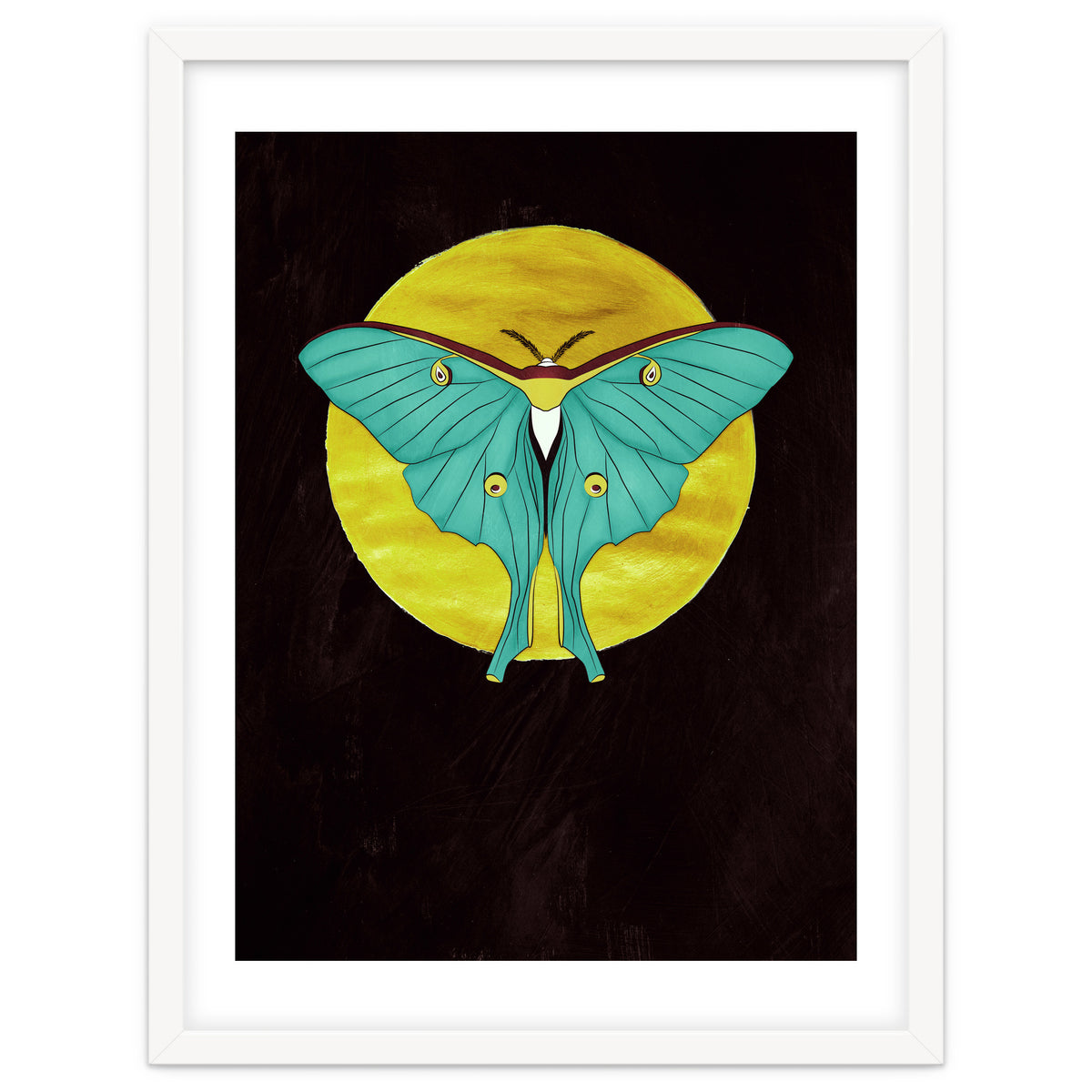 Luna Moth Moon