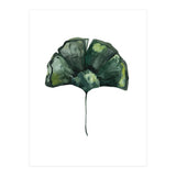 Botanical Illustration Ginko (Print Only) thumbnail