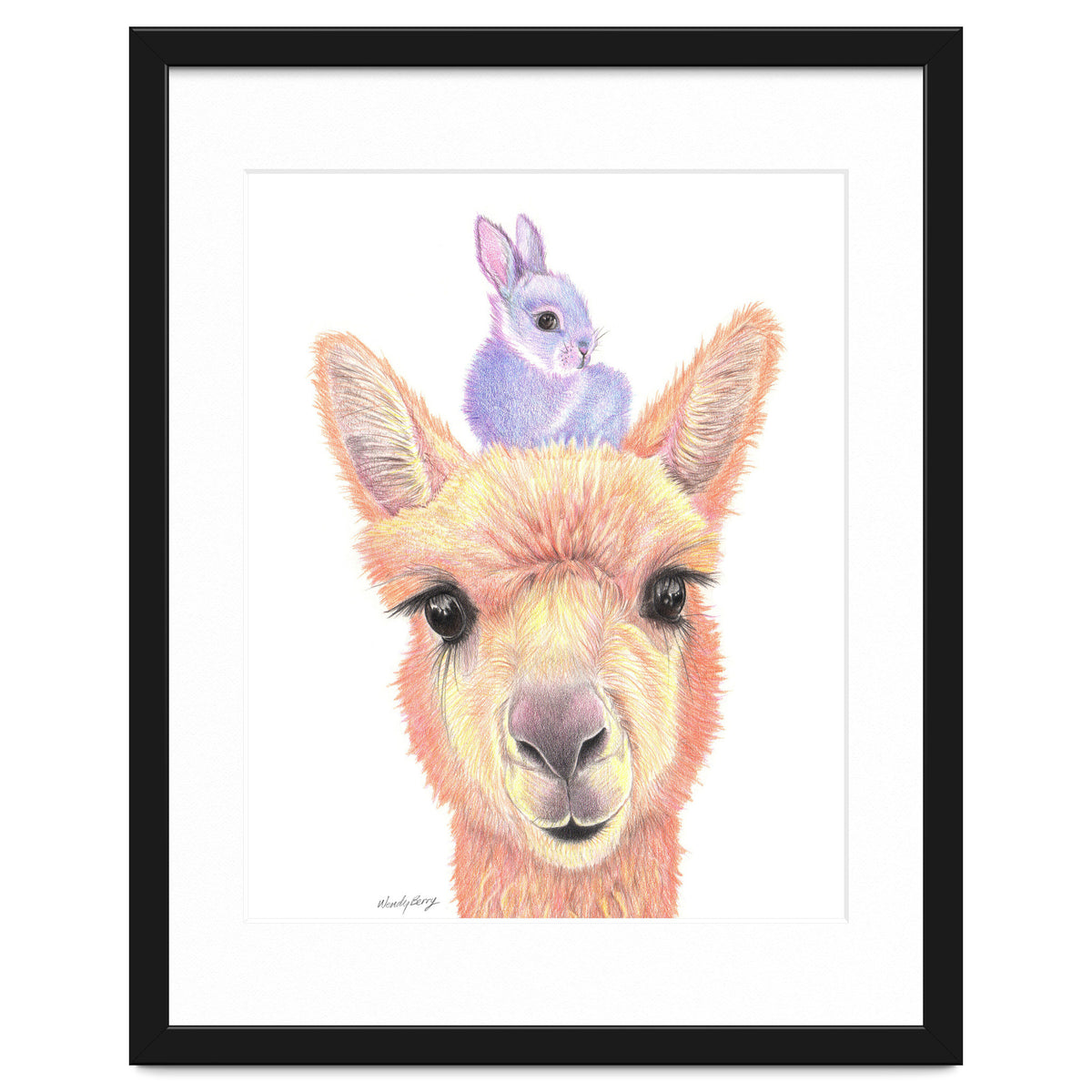 Alpaca and Bunny