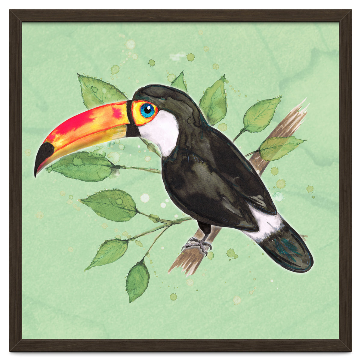 Toco toucan