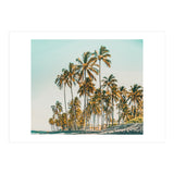 Island Life III (Print Only) thumbnail