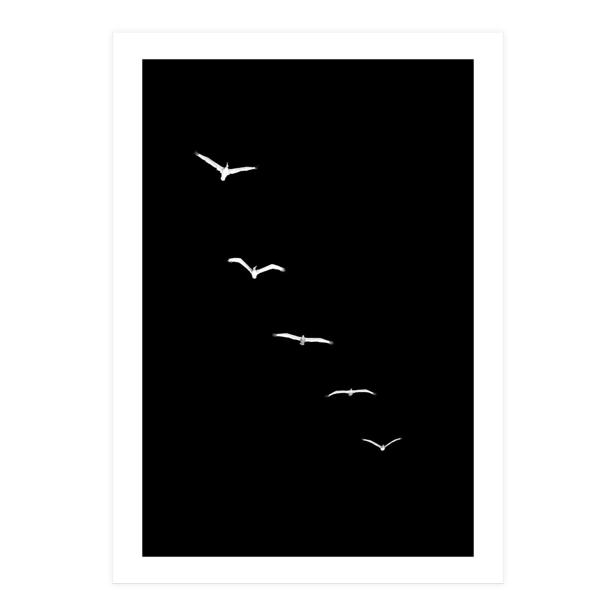 Heavenly Creatures Dark (Print Only)