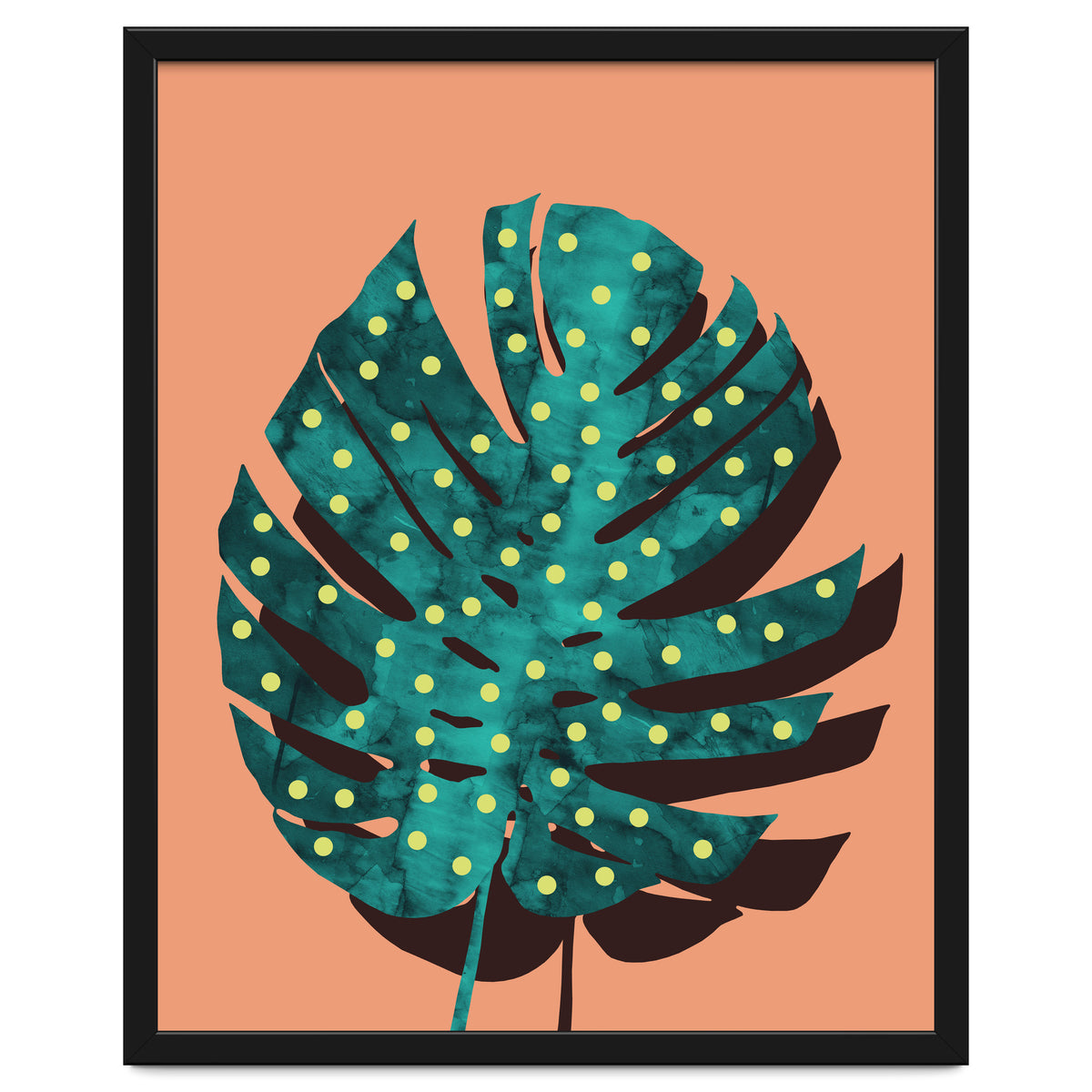 Monstera Deliciosa IV