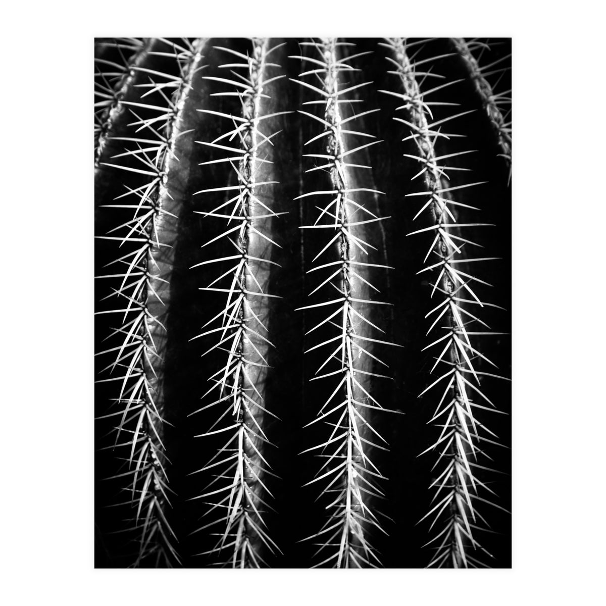 can't touch this (Print Only)