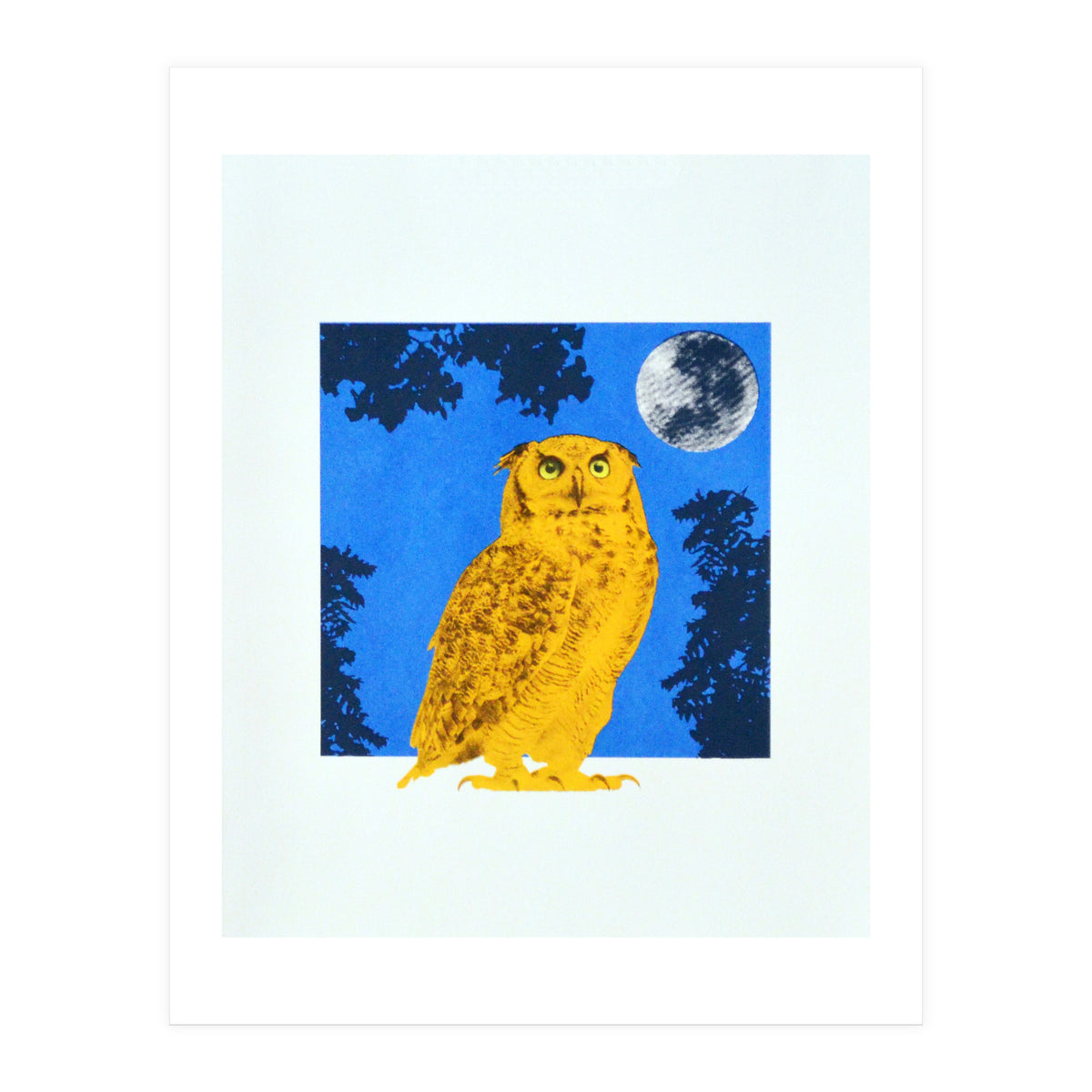 Golden Eyes (Print Only)