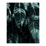 The Jungle (Print Only) thumbnail