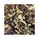 Surface Preparation (Print Only) thumbnail