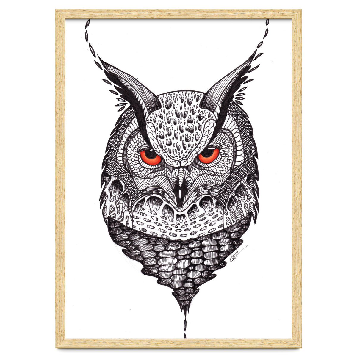 Owl