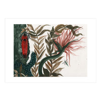 Insects (Print Only)