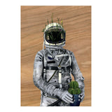 Cacti (Print Only) thumbnail