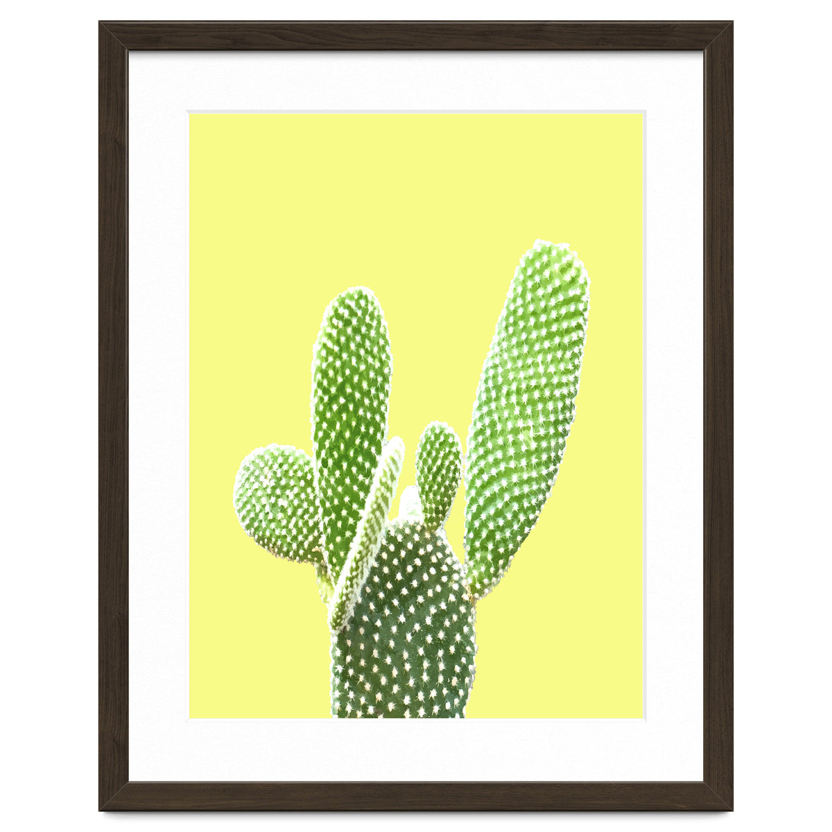 Cactus Yellow Background